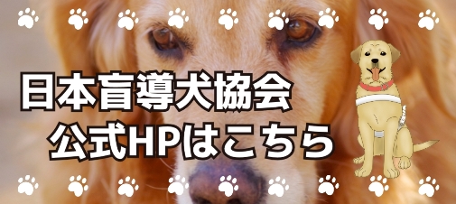 盲導犬協会